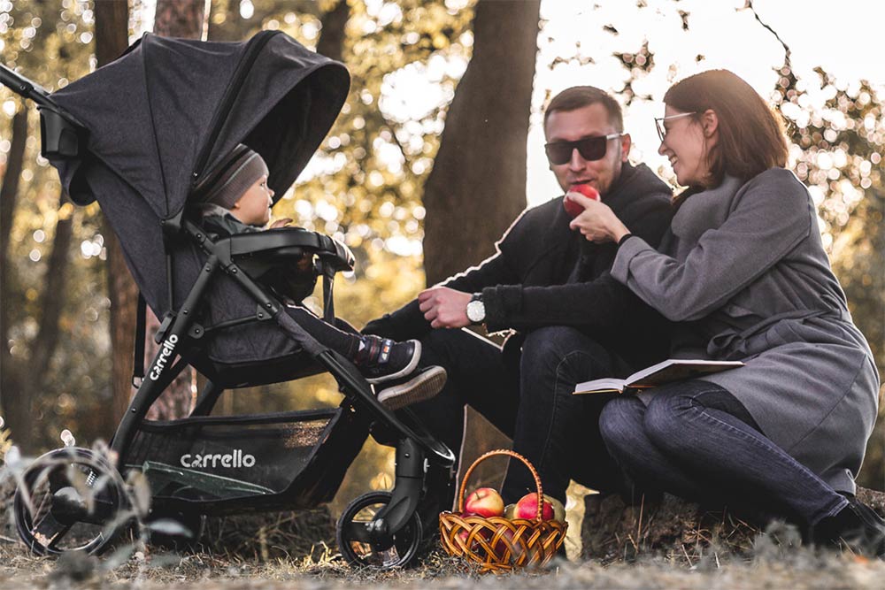 Stroller Maestro