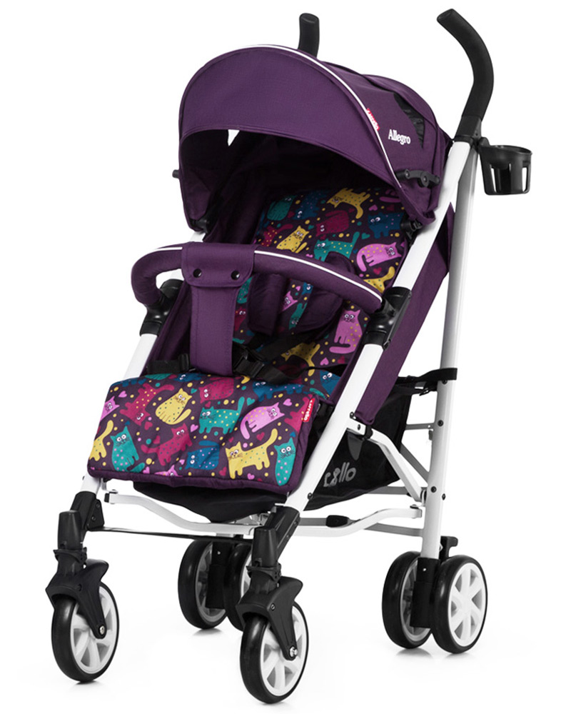 Kitty Purple