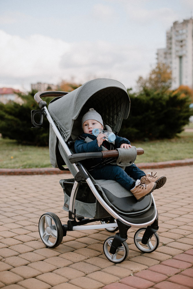 Stroller Vista