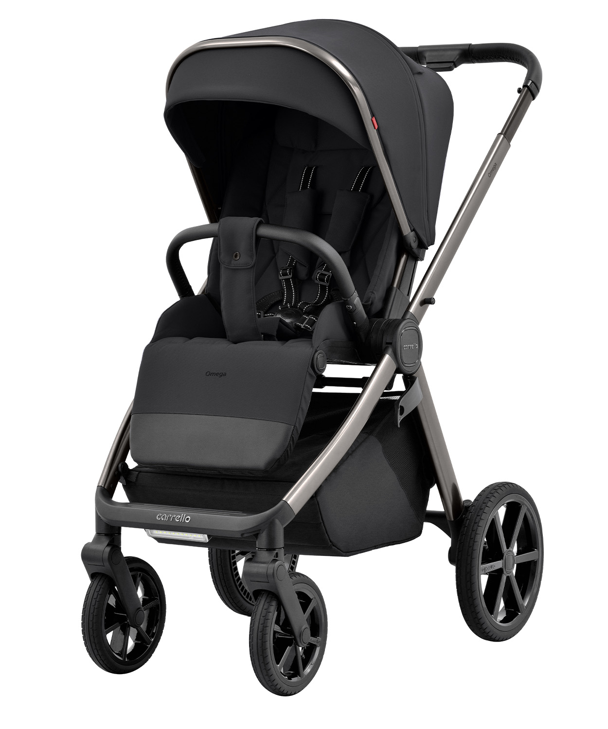 Universell einsetzbarer Kinderwagen Omega 2 in 1