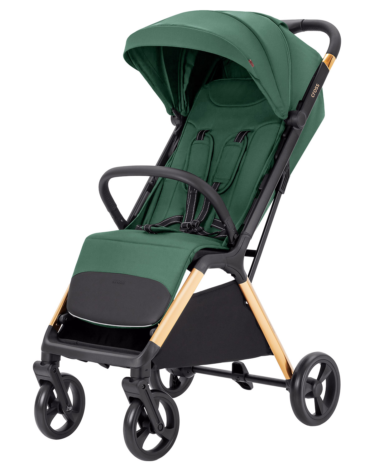 Parrot Green